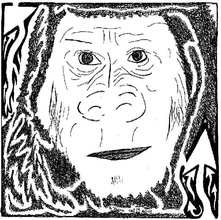 gorilla Mazes, maze